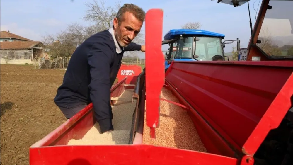 Büyükşehir’in hibeli tohumları toprakla buluştu